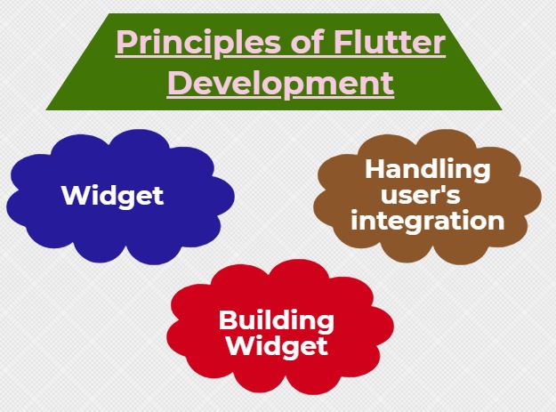 flutter development